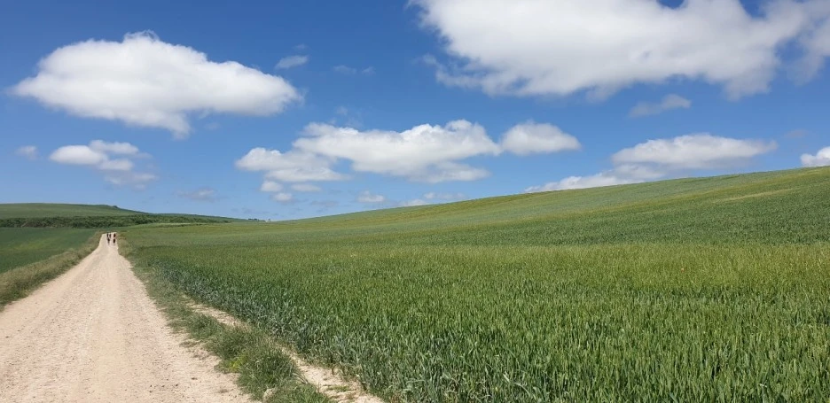 KakaoTalk_20220528_043927865.jpg?type=w1