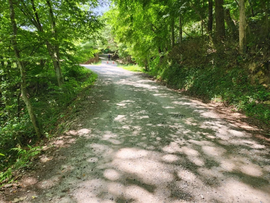 KakaoTalk_20240602_164520524_22.jpg?type=w1