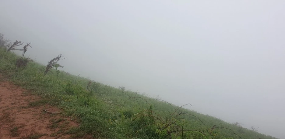 KakaoTalk_20220520_230446176_04.jpg?type=w1