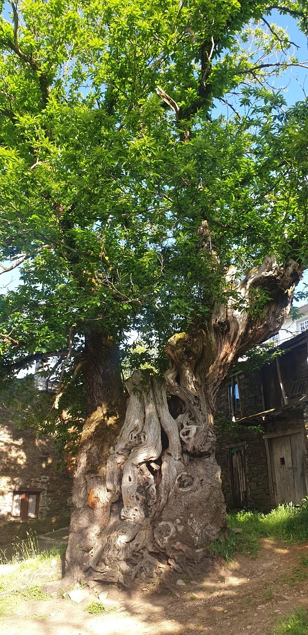 KakaoTalk_20220610_223246762_09.jpg?type=w1