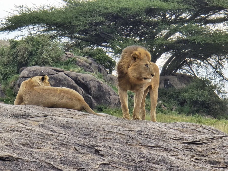 KakaoTalk_20250405_134443007_29.jpg?type=w1