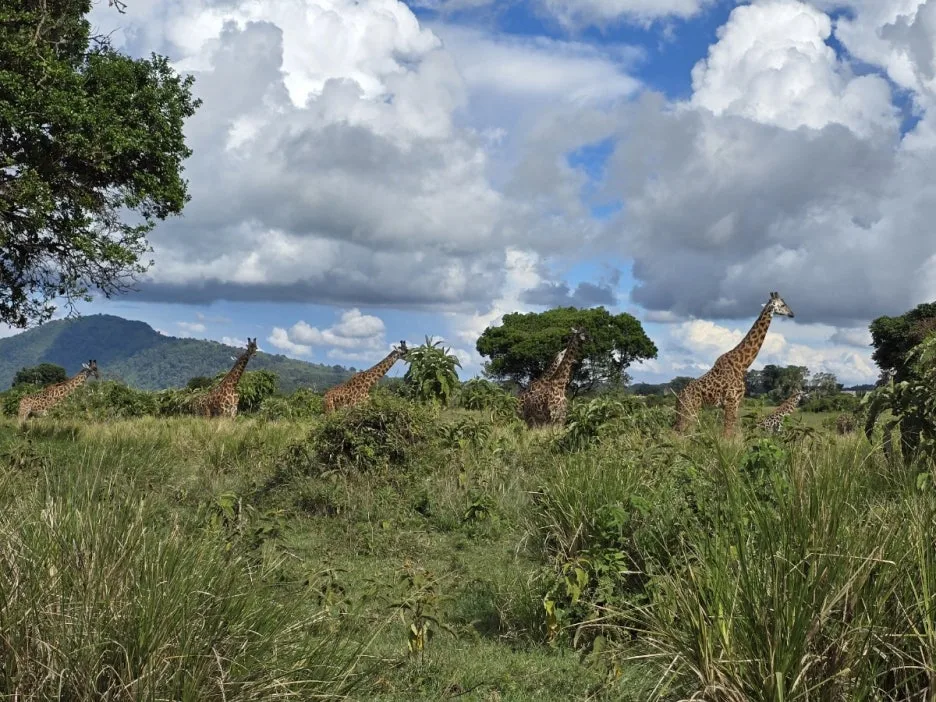 KakaoTalk_20250405_135250372_29.jpg?type=w1