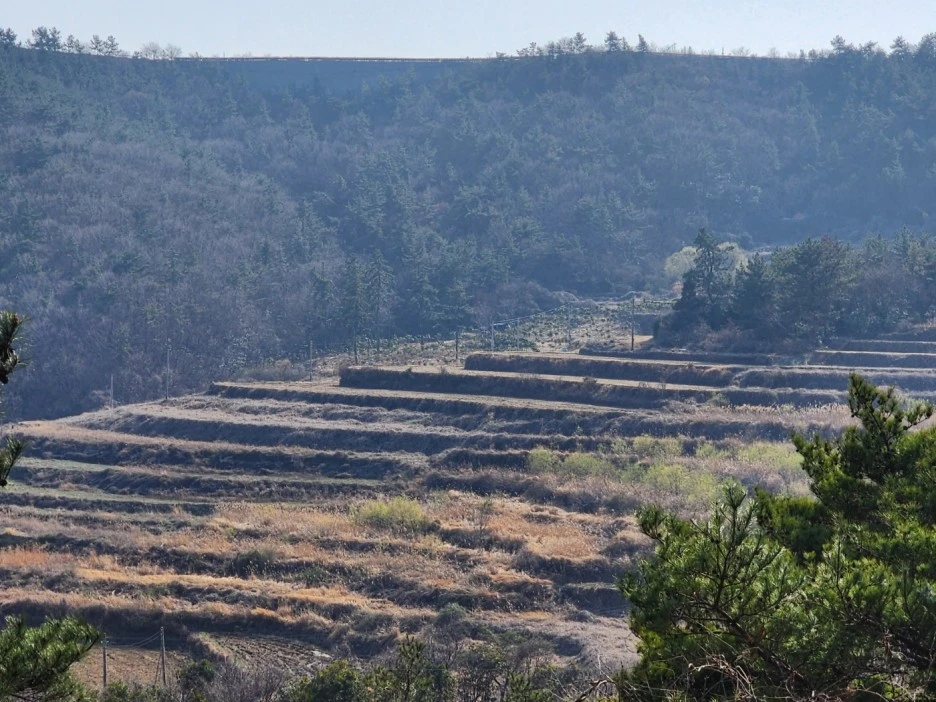 KakaoTalk_20230320_025650055_19.jpg?type=w1