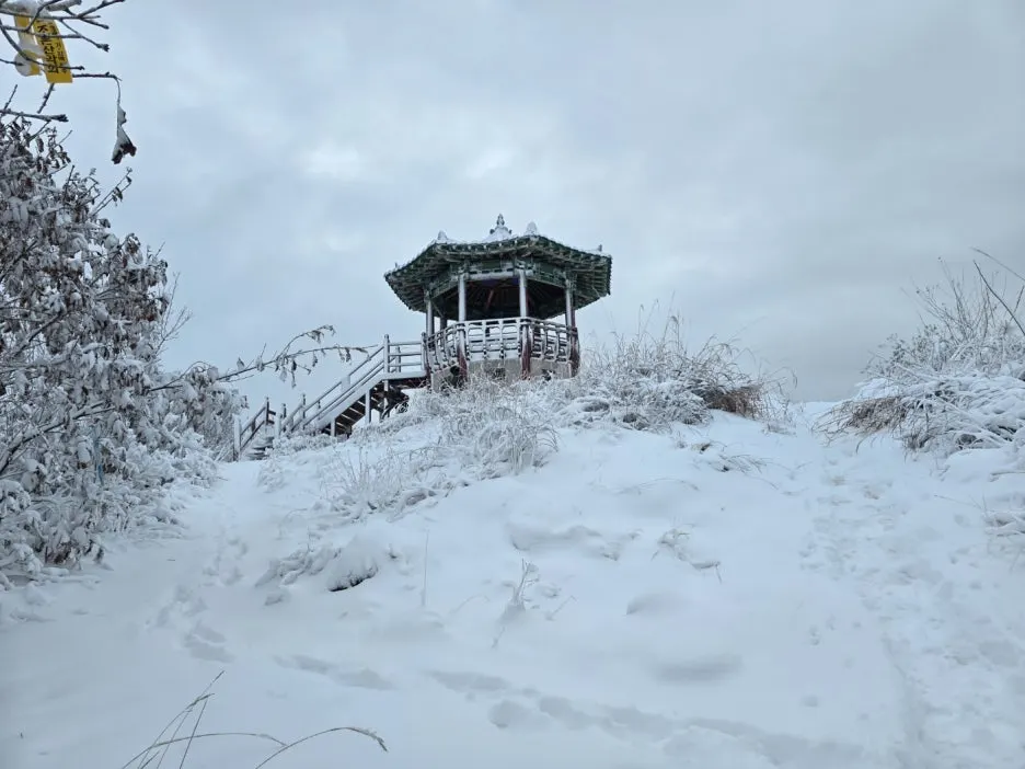 KakaoTalk_20241129_050938052_21.jpg?type=w1