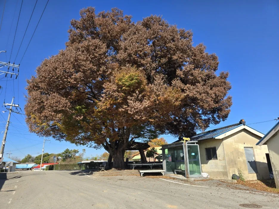 KakaoTalk_20241119_051244597_17.jpg?type=w1