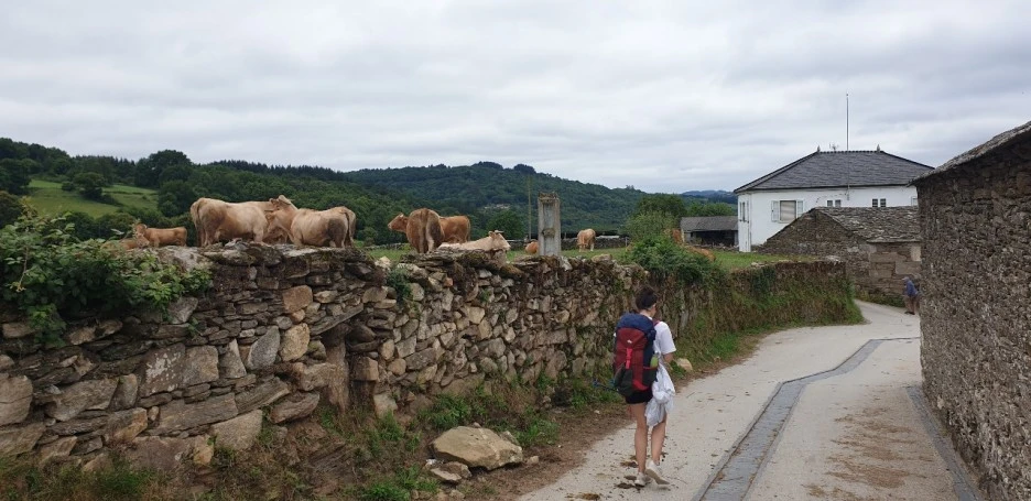 KakaoTalk_20220611_193638292_03.jpg?type=w1