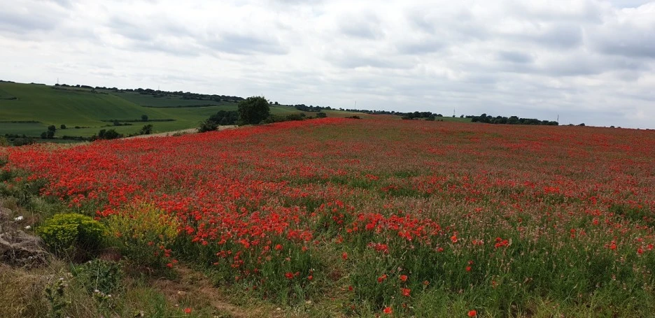 KakaoTalk_20220530_231948130_03.jpg?type=w1