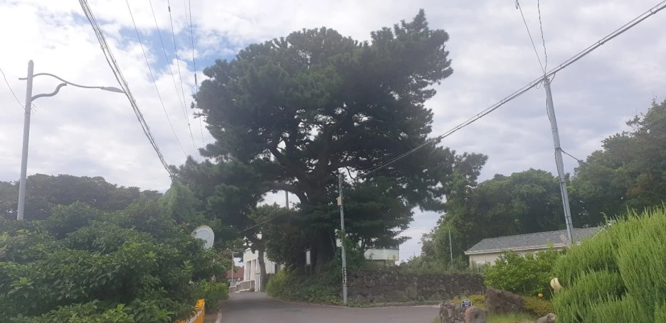 KakaoTalk_20220830_013333768_03.jpg?type=w1