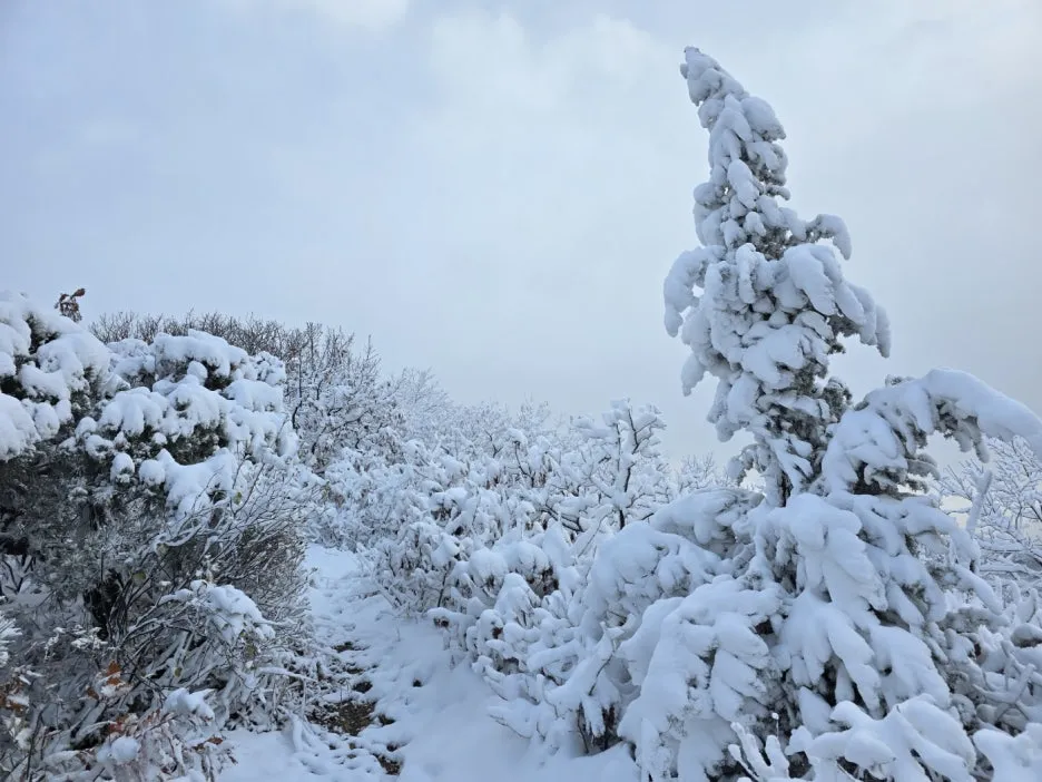 KakaoTalk_20241129_050938052_07.jpg?type=w1