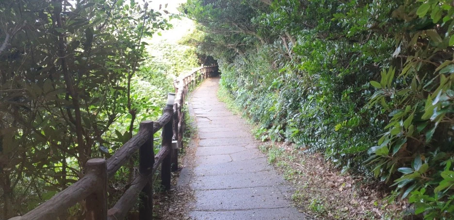 KakaoTalk_20220830_013115514_02.jpg?type=w1