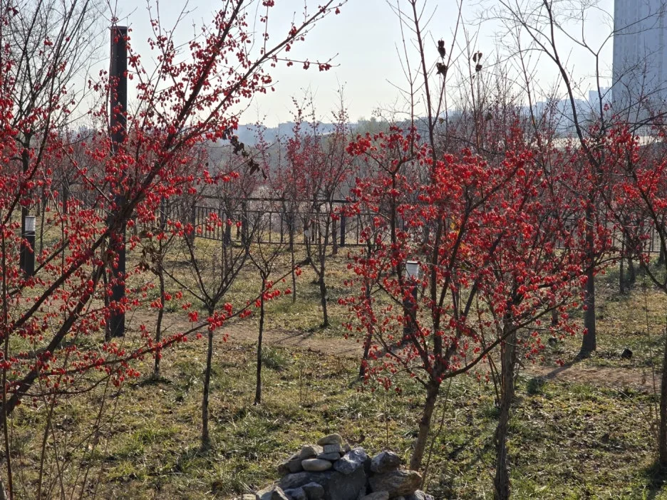 KakaoTalk_20241224_043324914_14.jpg?type=w1