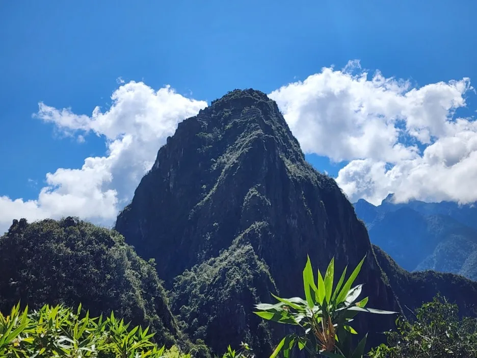 KakaoTalk_20240711_091609717_21.jpg?type=w1