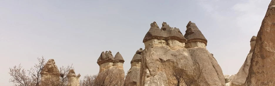 SE-30875d77-7a28-481c-bd5c-87a3b042992c.jpg?type=w1