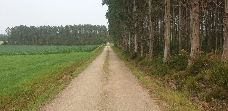 KakaoTalk_20220621_020901713_06.jpg?type=w1