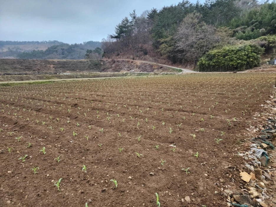 KakaoTalk_20230323_021520355_01.jpg?type=w1