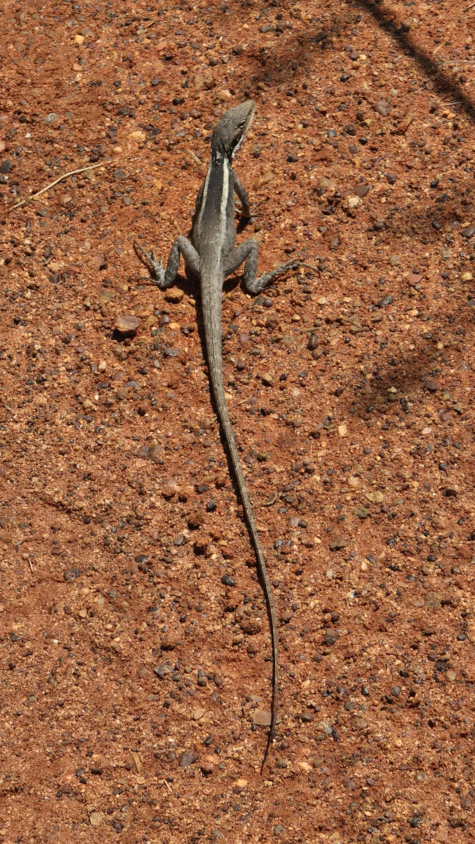 KakaoTalk_20251028_052229340_16.jpg?type=w1