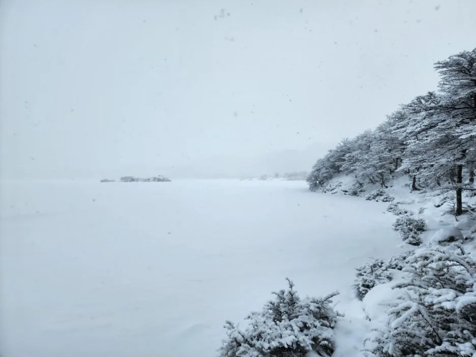 KakaoTalk_20240806_083145095_06.jpg?type=w1