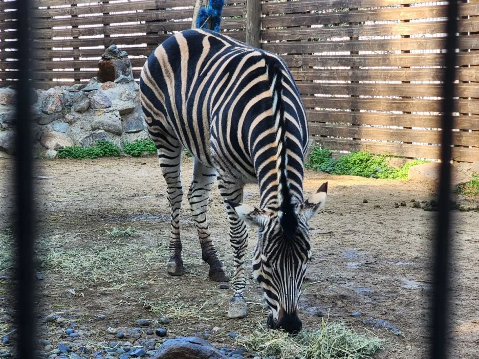 KakaoTalk_20240726_173909105_05.jpg?type=w1