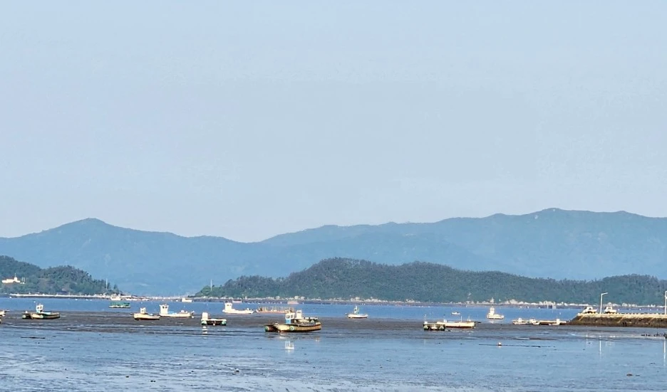 SE-36b478cb-0102-410f-bb7d-6b8322d8e6fb.jpg?type=w1