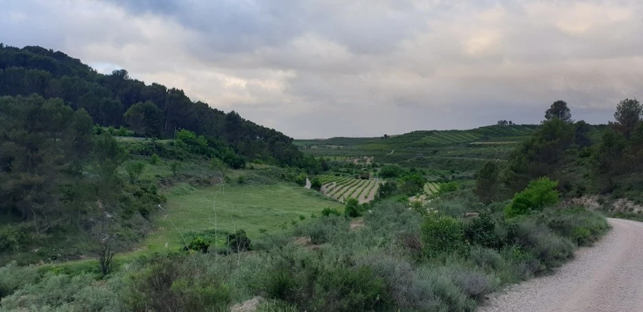 KakaoTalk_20220525_191210532_05.jpg?type=w1