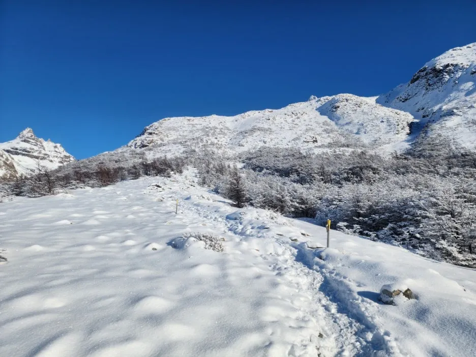 KakaoTalk_20240809_044830248_28.jpg?type=w1