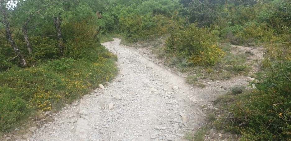 KakaoTalk_20220521_082850404_02.jpg?type=w1