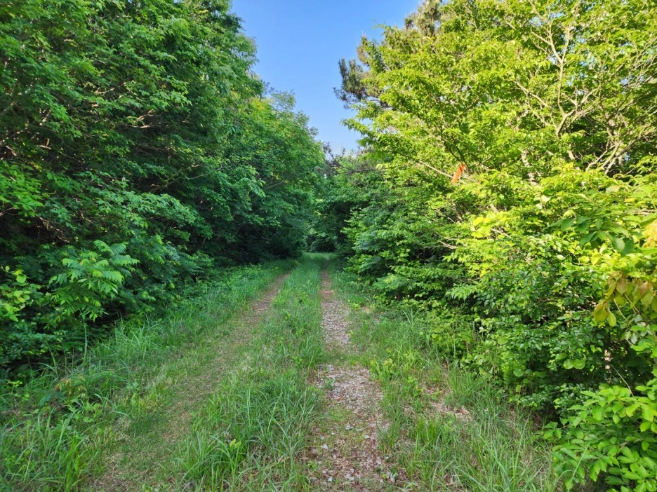 KakaoTalk_20240515_001430344_05.jpg?type=w1