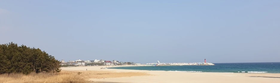 SE-33486510-0f96-448b-814a-b96c8090a561.jpg?type=w1