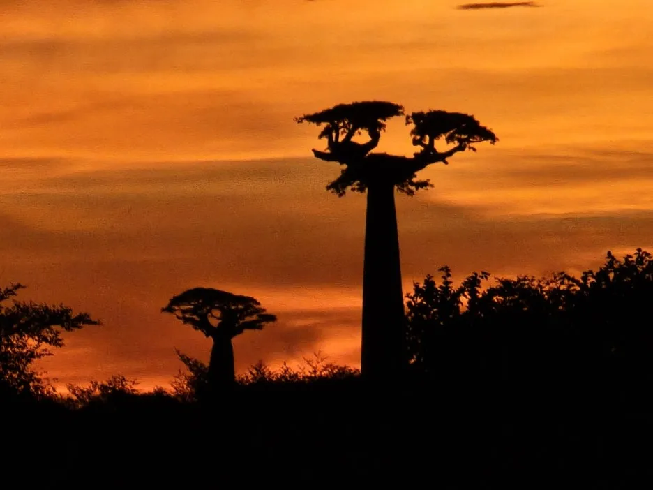 KakaoTalk_20250313_021335192_24.jpg?type=w1