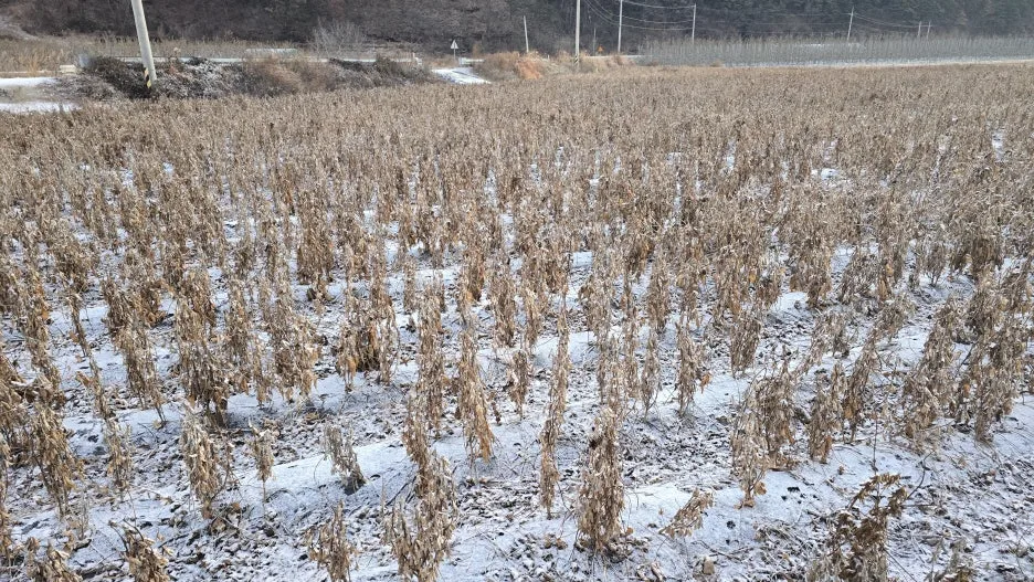 KakaoTalk_20251207_095921801.jpg?type=w1