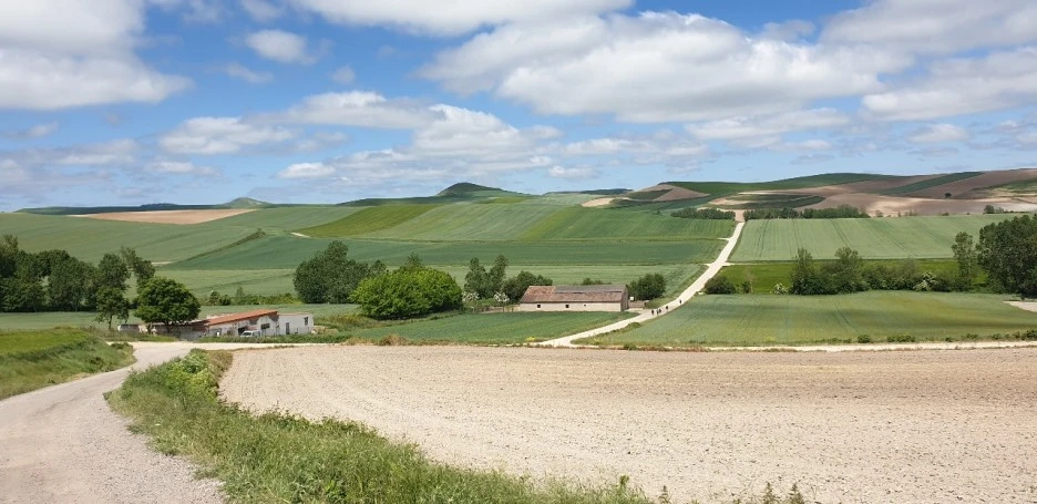 KakaoTalk_20220528_043801647_07.jpg?type=w1