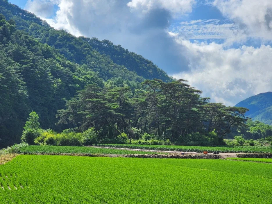 KakaoTalk_20240623_164104547.jpg?type=w1