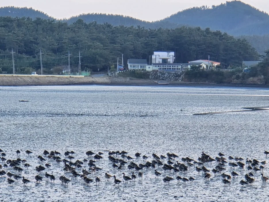 KakaoTalk_20241105_163345460_06.jpg?type=w1