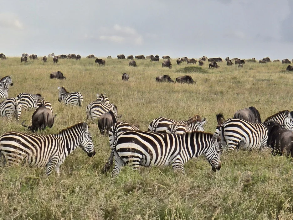 KakaoTalk_20251220_114244572_01.jpg?type=w1