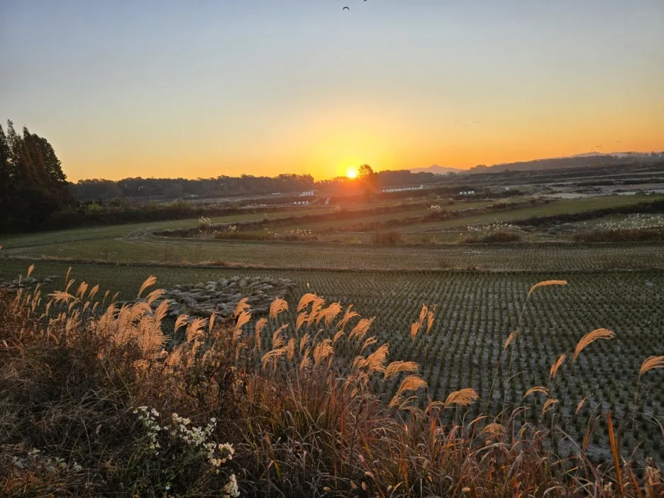 KakaoTalk_20241120_055325681_01.jpg?type=w1