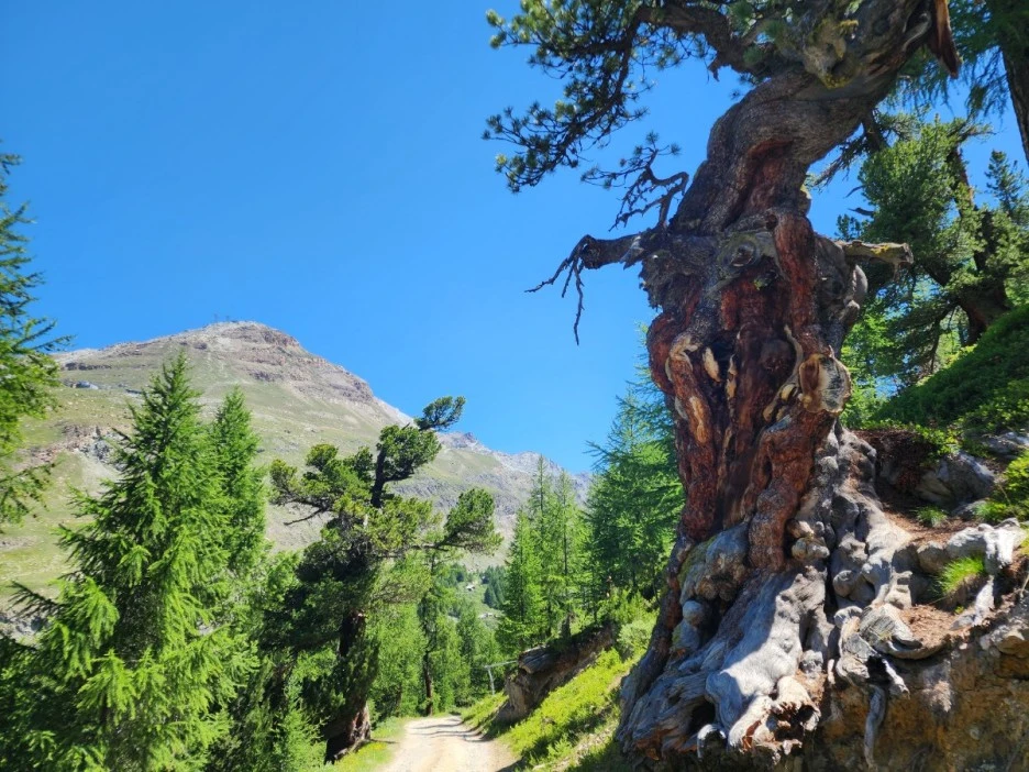 KakaoTalk_20230712_021512640_13.jpg?type=w1