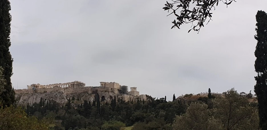 20220429_151204.jpg?type=w1