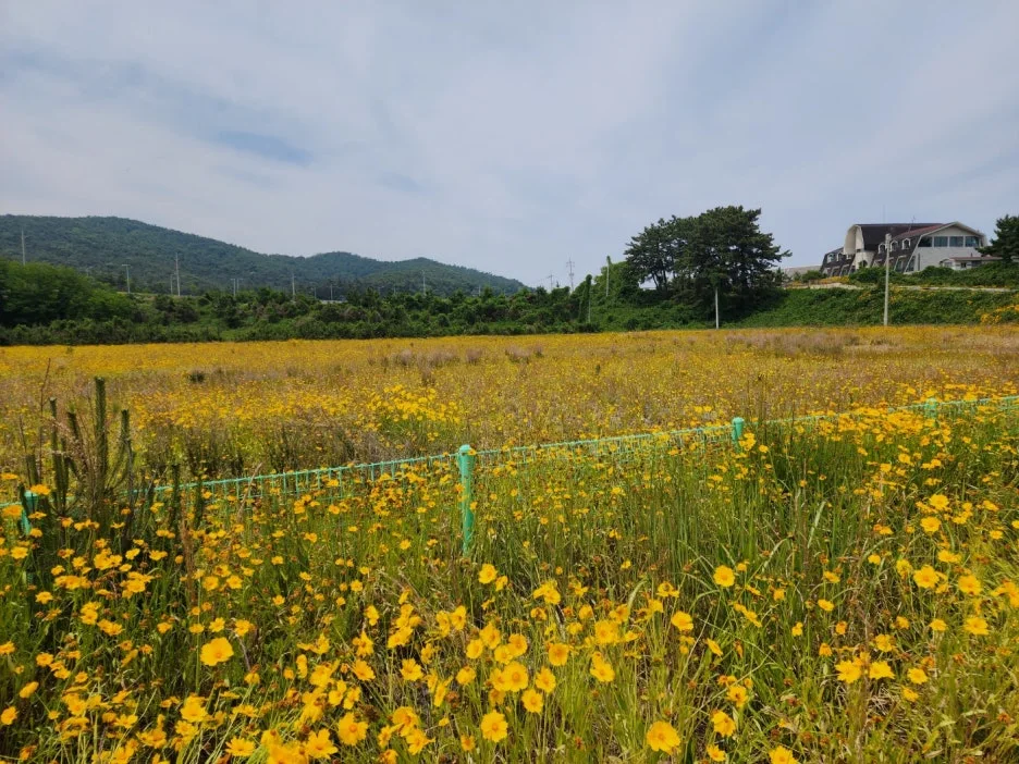 KakaoTalk_20240605_162157830_06.jpg?type=w1