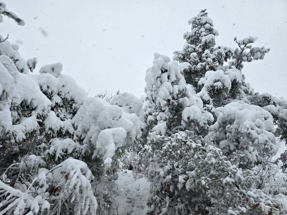 KakaoTalk_20241129_051049908_05.jpg?type=w1