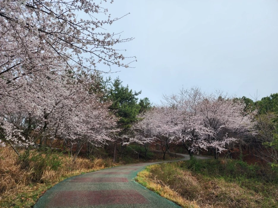 KakaoTalk_20230327_050432802_04.jpg?type=w1