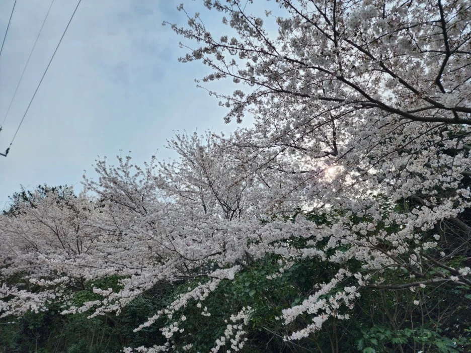 KakaoTalk_20230331_035853682_12.jpg?type=w1