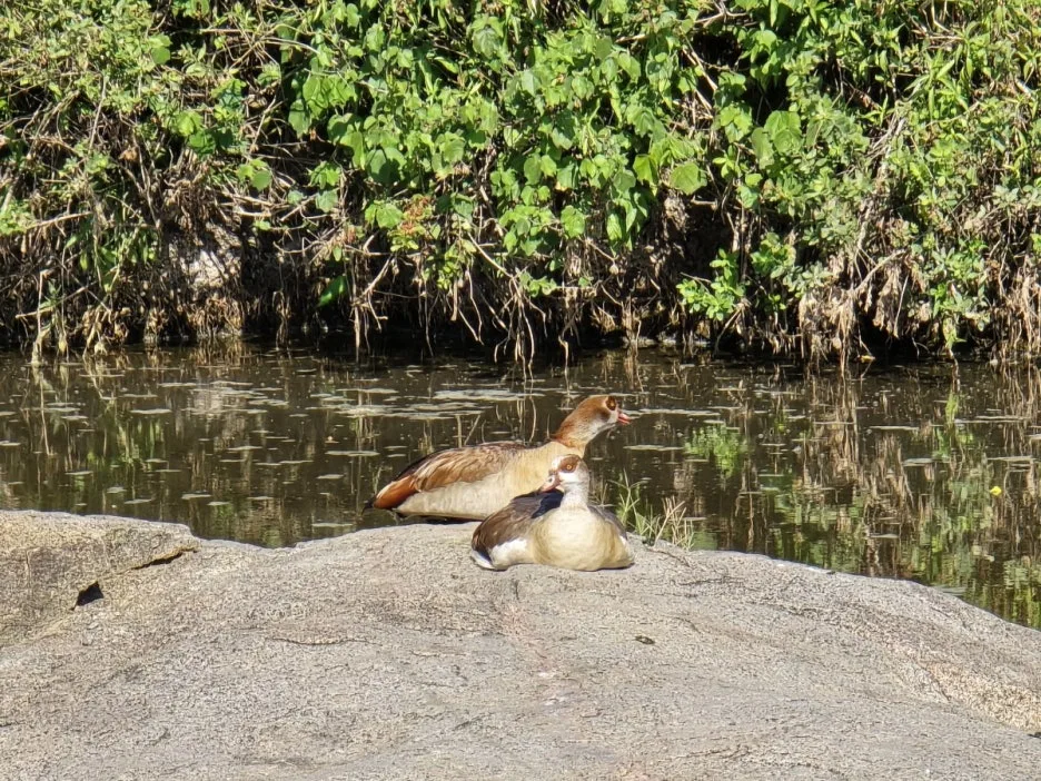 KakaoTalk_20250405_135250372_05.jpg?type=w1