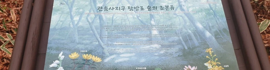 SE-72387255-36e1-49f7-b88f-71f0fbc567c4.jpg?type=w1