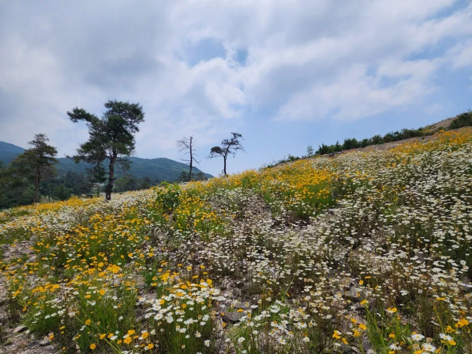 KakaoTalk_20240604_174216039_23.jpg?type=w1