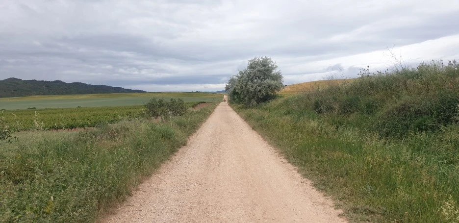 KakaoTalk_20220524_210115819.jpg?type=w1