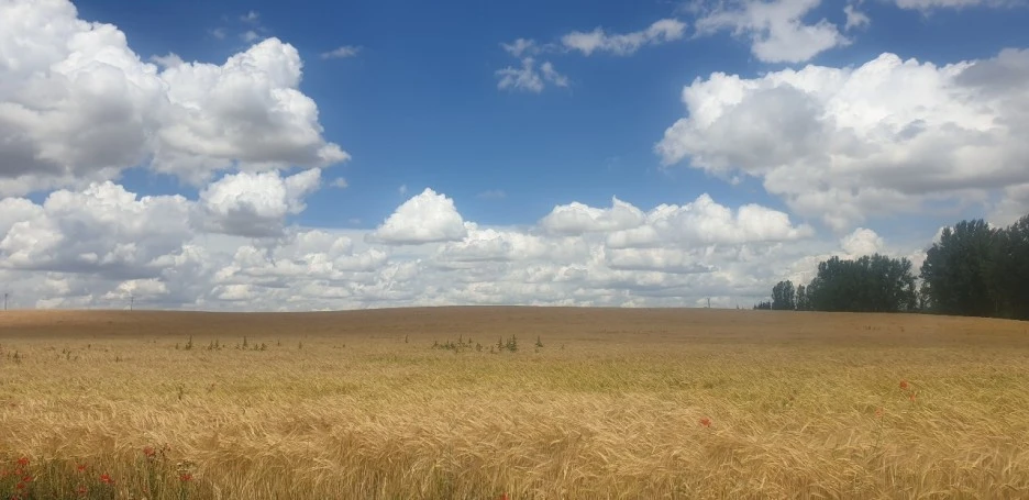 KakaoTalk_20220603_002933903_09.jpg?type=w1