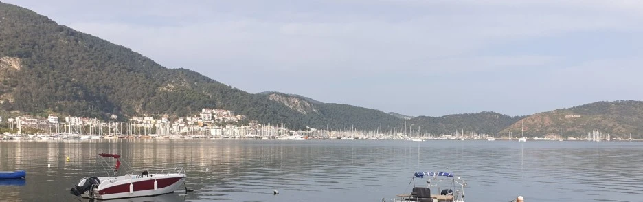 SE-fb04279e-9723-468d-bd08-dd4db9719f82.jpg?type=w1