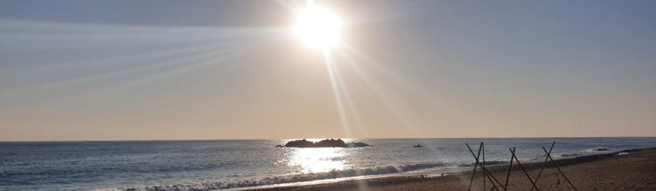 SE-a1bc96bf-33d6-4494-9431-207c1d20b680.jpg?type=w1