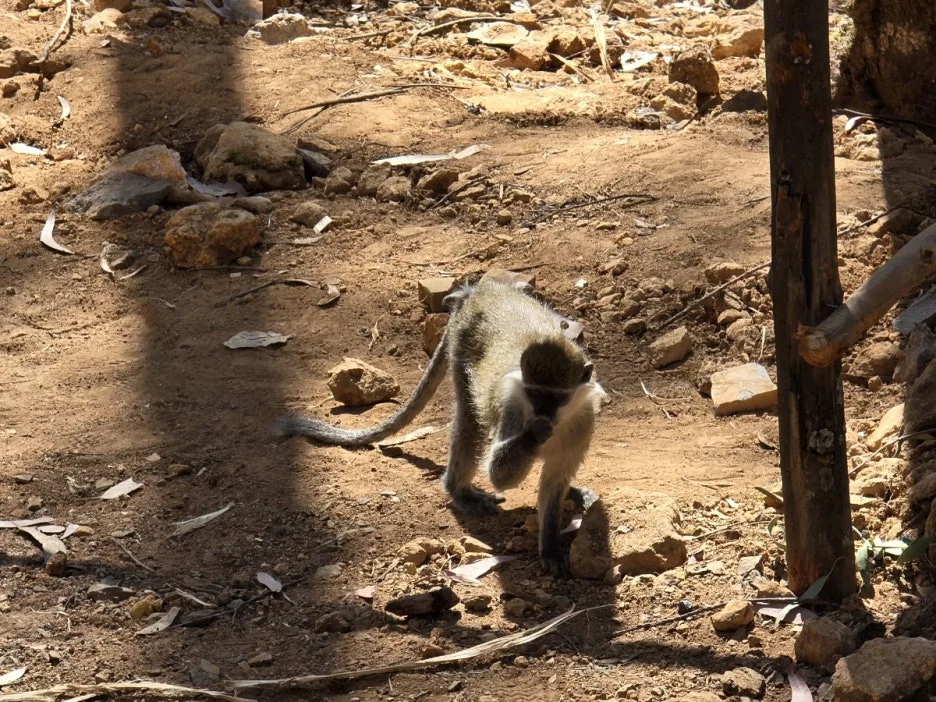 KakaoTalk_20250305_185538406_03.jpg?type=w1