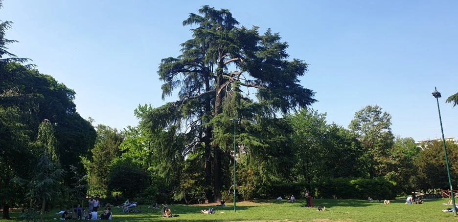 KakaoTalk_20220511_221629633_02.jpg?type=w1